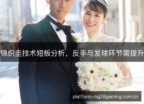 锦织圭技术短板分析,反手与发球环节需提升 锦织圭技术短板分析,反手与发球环节需提升